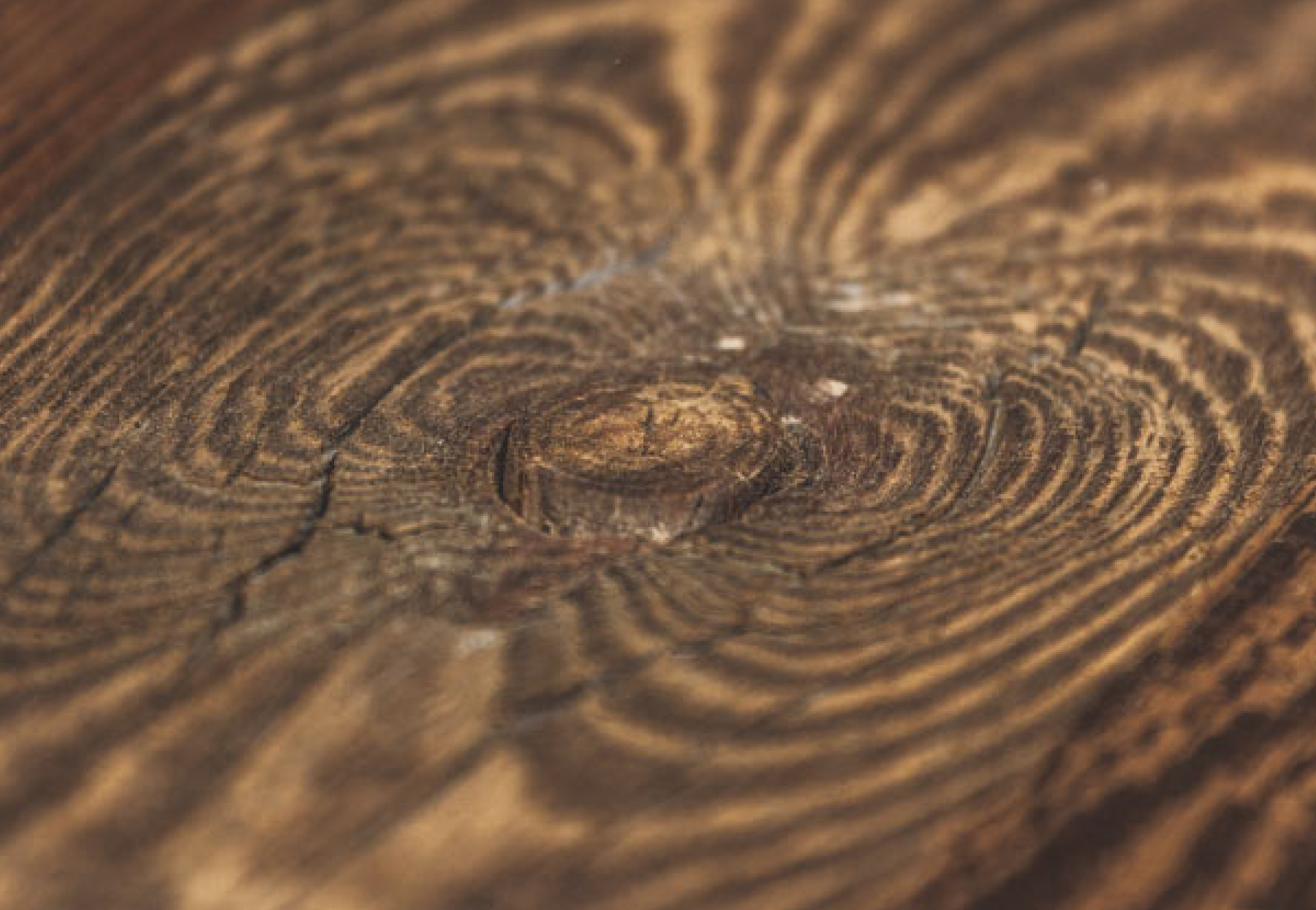 Miniaturka projektu Stare Drewno